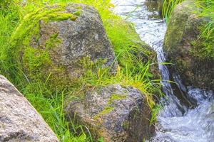 Small waterfall river and stream on Brocken mountain Harz Germany. photo