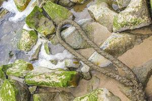 Wadden sea tidelands coast stones rocks water Harrier Sand Germany. photo