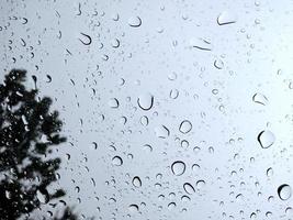 la llovizna humedece el cristal, una ráfaga de viento empuja los árboles hasta hacer temblar. en mal tiempo una tormenta foto