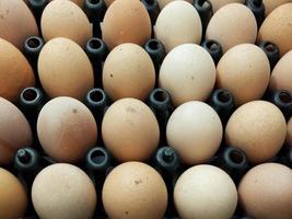 Many brown eggs on a black package provide an easy meal idea.  With high nutritional value  Gives a feeling of deliciousness and fullness photo