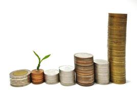 The silver and gold coins are stacked, and the green seedlings are booming. White background gives ideas for business growth, finance, savings, interest, feel wealth in life. photo