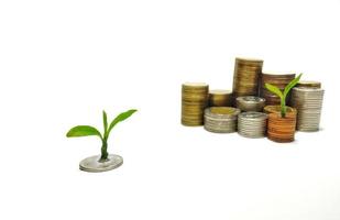 The silver and gold coins are stacked, and the green seedlings are booming. White background gives ideas for business growth, finance, savings, interest, feel wealth in life. photo