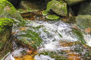 pequeña cascada río y arroyo en la montaña brocken harz alemania. foto