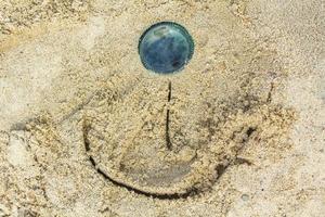 Wadden sea tidelands funny smile in sand Harrier Sand Germany. photo