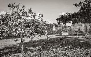 antiguo tulum ruinas maya sitio templo pirámides artefactos paisaje marino méxico. foto