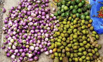 mixed vegetables purple eggplant, olive photo
