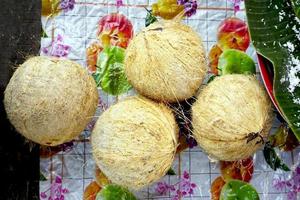 local Coconuts at Fresh market photo