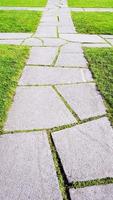 Random Stone pathway with green grass photo