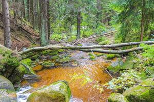 Small waterfall river and stream on Brocken mountain Harz Germany. photo