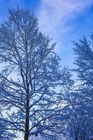 Snowy winter snow and ice landscape panorama view Bremerhaven Germany. photo