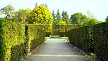 formal garden in the park of castle photo