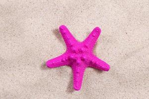 pink starfish on the sand close-up top view. Starfish on the beach. Beach summer background with sand, sea and copyspace photo