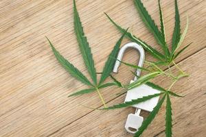 Branch of fresh marijuana leaf and silver key on wooden deck background, Unlock marijuana concept.