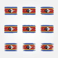 pincel de bandera de esuatini. bandera nacional vector