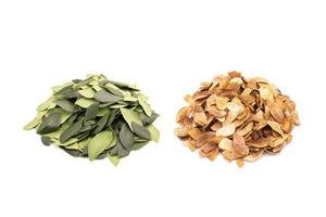 Pile fresh and dry leaf of Samanea saman tree isolated on white photo