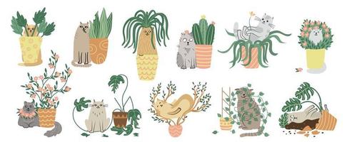 Cats and houseplants set. Hand drawn flat vector illustration isolated on white. Funny animal characters and house plants. Potted plants and pets