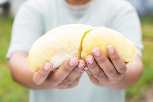 Close up hands woman holding Piece of peel Durian fruit photo