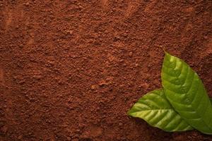 textura de cacao en polvo con hoja de cacao verde, vista superior para el fondo foto