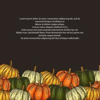 Pumpkin background, various pumpkins, on a dark background, vector illustration.