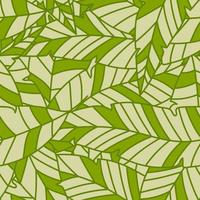 hojas de palmeras tropicales lineales de patrones sin fisuras. textura botánica exótica. papel tapiz transparente de la hoja de la selva. fondo floral. diseño para tela, superficie, estampado textil, envoltura, cubierta vector