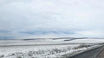 Sowing time in Ukraine during the war. Preparing fields for sowing grain. Blue sky, plowed land. terror. photo