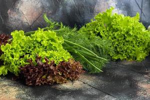 verduras frescas para ensalada. tomates y lechuga, pepinos con calabacín y repollo con eneldo. cosecha de primavera, beneficios y vitaminas. sobre un fondo oscuro. foto
