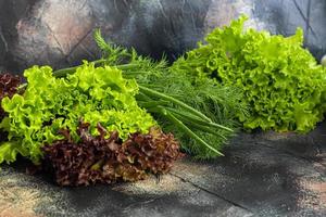 Fresh vegetables for salad. Tomatoes and lettuce, cucumbers with zucchini and cabbage with dill. Spring harvest, benefits and vitamins. On a dark background. photo