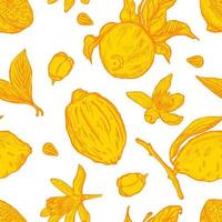 Engraving lemons seamless pattern. Vintage background with whole lemon, sliced, half, leaf, flowers and seed in hand drawn style. vector