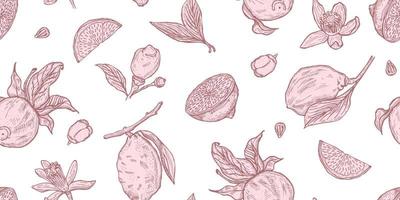 Engraving lemons seamless pattern. Vintage background with whole lemon, sliced, half, leaf, flowers and seed in hand drawn style. vector