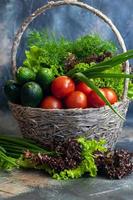 Fresh vegetables for salad in a basket. Tomatoes and cucumbers with zucchini and cabbage with dill. Spring harvest, benefits and vitamins. On a dark background. photo