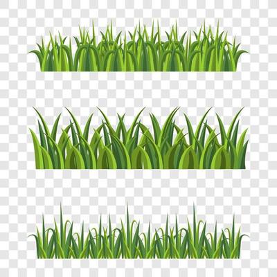 Grass Element on Transparent Background