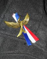 LOS ANGELES, NOV 16  Mockingjay emblem, with French flag colors in honor of ISIS victims at the The Hunger Games -Mockingjay Part 2 LA Premiere on November 16, 2015 in Los Angeles, CA photo