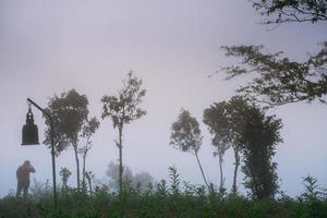 punto de vista de la escena del amanecer en phu chi phor, distrito de khun yuam, provincia de maehongson, tailandia foto