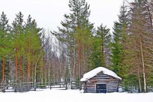una pequeña cabaña con cubierta de nieve en el techo en el bosque foto