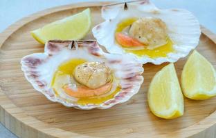 King scallop in shell photo