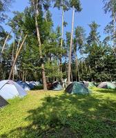 Tourist place. Camping. Tents in the forest. photo