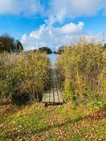 wooden pier on the lake photo