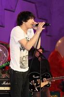 LOS ANGELES, NOV 20 -  Mitchel Musso at the Hollywood and Highland Tree Lighting Concert 2010 at Hollywood and Highland Center Cour on November 20, 2010 in Los Angeles, CA photo