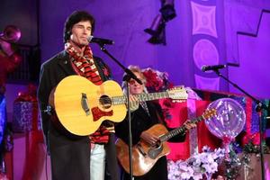 LOS ANGELES, NOV 20 -  Ronn Moss, Peter Beckett, Player at the Hollywood and Highland Tree Lighting Concert 2010 at Hollywood and Highland Center Cour on November 20, 2010 in Los Angeles, CA photo