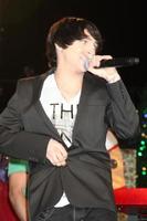 LOS ANGELES, NOV 20 -  Mitchel Musso at the Hollywood and Highland Tree Lighting Concert 2010 at Hollywood and Highland Center Cour on November 20, 2010 in Los Angeles, CA photo