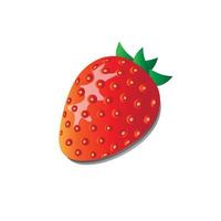 red fresh strawberries on a white background vector