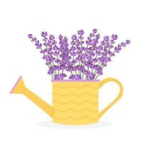 Lavender flowers in a yellow watering can. Vector illustration isolated on white background