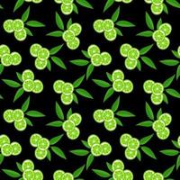 Lime with green leaves, citrus slice on black background. Seamless pattern tropical pattern vector