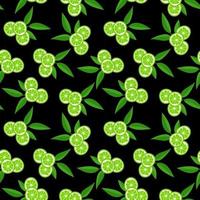 Lime with green leaves, citrus slice on black background. Seamless pattern tropical pattern vector