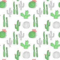 seamless pattern with cactus on a white background in cartoon style.Vector illustration vector