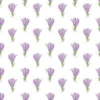 Seamless pattern lavender flowers pattern on white background.Floral vector pattern