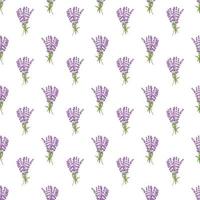 Seamless pattern lavender flowers pattern on white background.Floral vector pattern