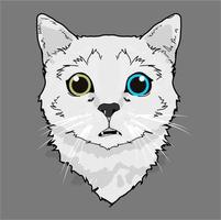 Cat drawings, vectors, decorations and elements. vector