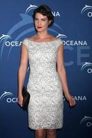 LOS ANGELES, OCT 30 Cobie Smulders at the Oceanas Partners Awards Gala 2013 at Beverly Wilshire Hotel on October 30, 2013 in Beverly Hills, CA photo