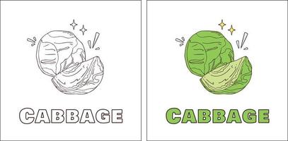 A for Cabbage Hand Drawn Coloring Page vector